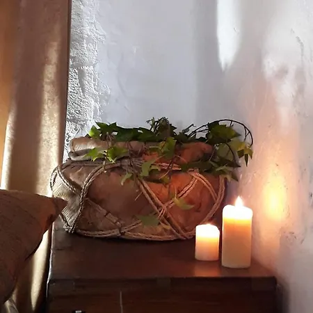 The Little Vine By Hello Homes Sitges *